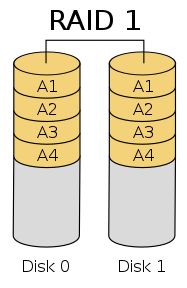 RAID1